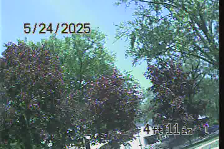Frame